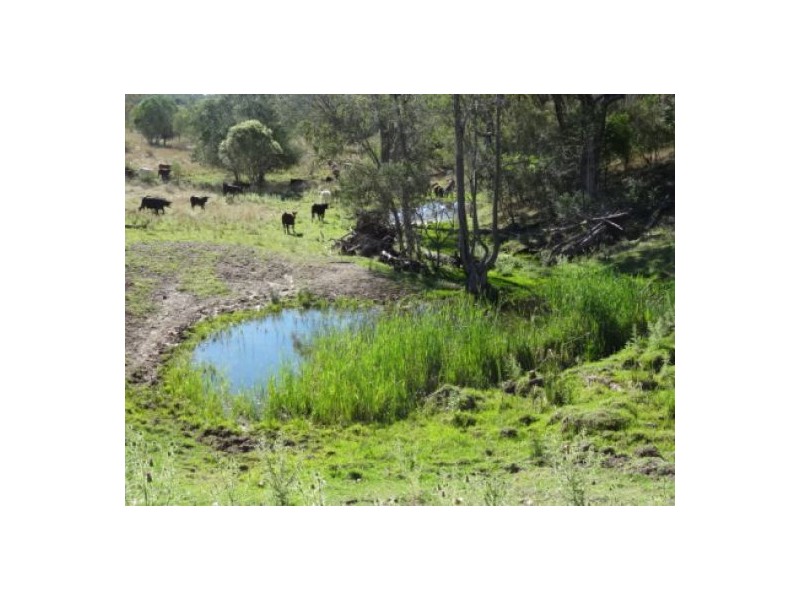 “Gunna Gumpy”, Delungra NSW 2403