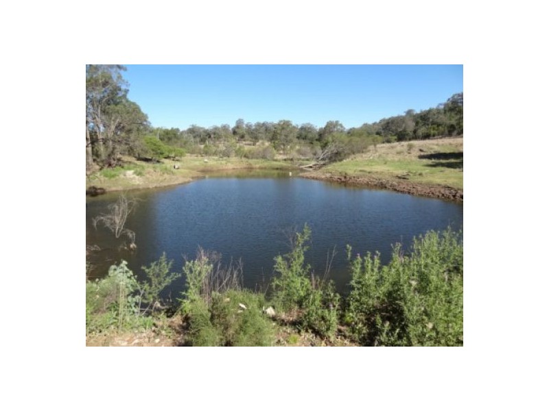 “Gunna Gumpy”, Delungra NSW 2403