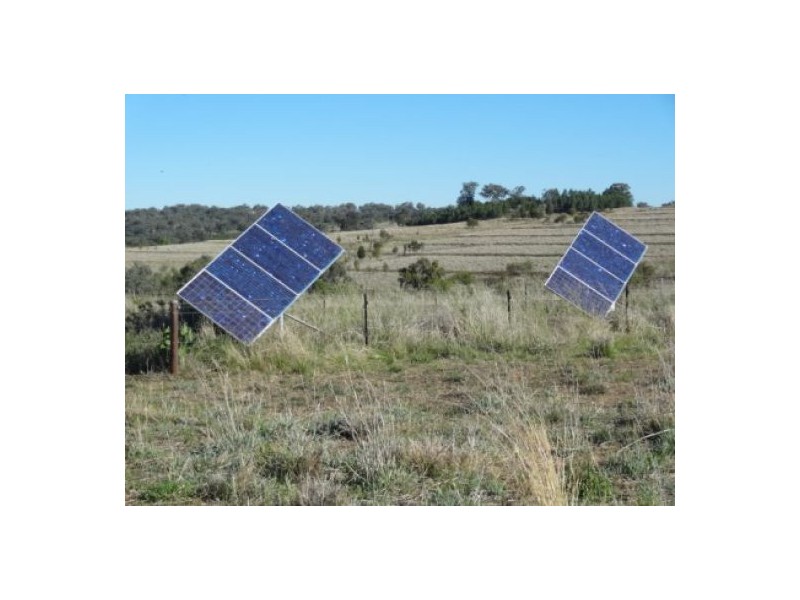 “Gunna Gumpy”, Delungra NSW 2403