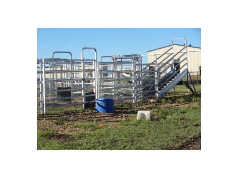 “Gunna Gumpy”, Delungra NSW 2403