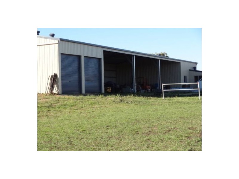 “Gunna Gumpy”, Delungra NSW 2403