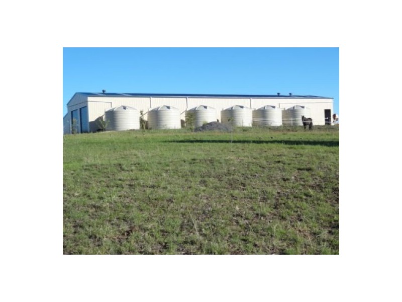 “Gunna Gumpy”, Delungra NSW 2403