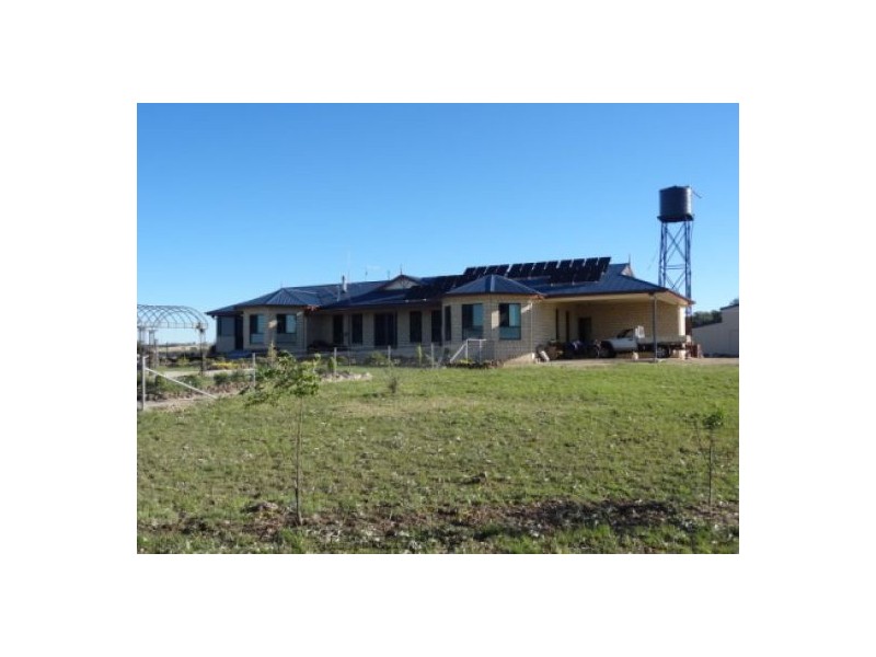 “Gunna Gumpy”, Delungra NSW 2403