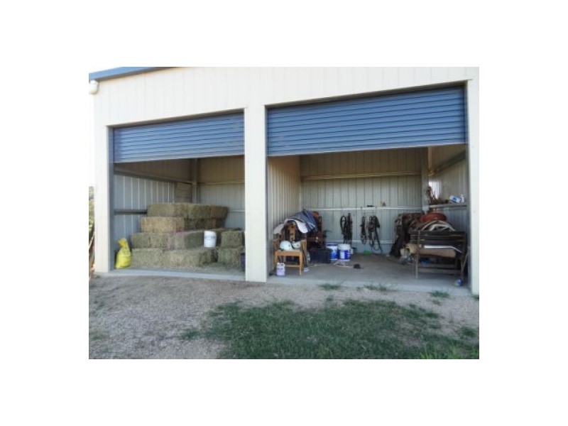 “Gunna Gumpy”, Delungra NSW 2403