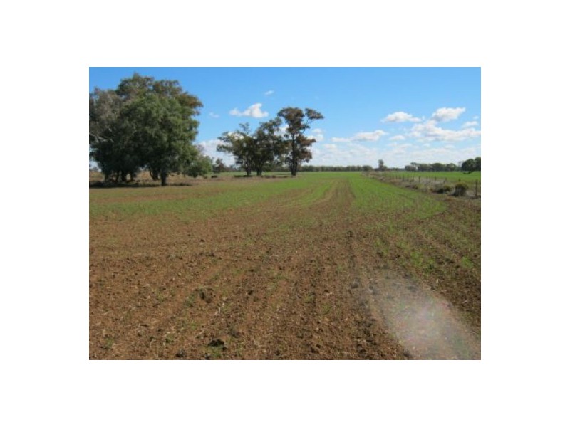 “Crinolyn”, Moree NSW 2400