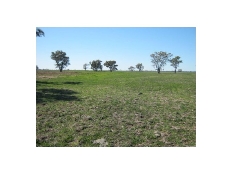 “Crinolyn”, Moree NSW 2400