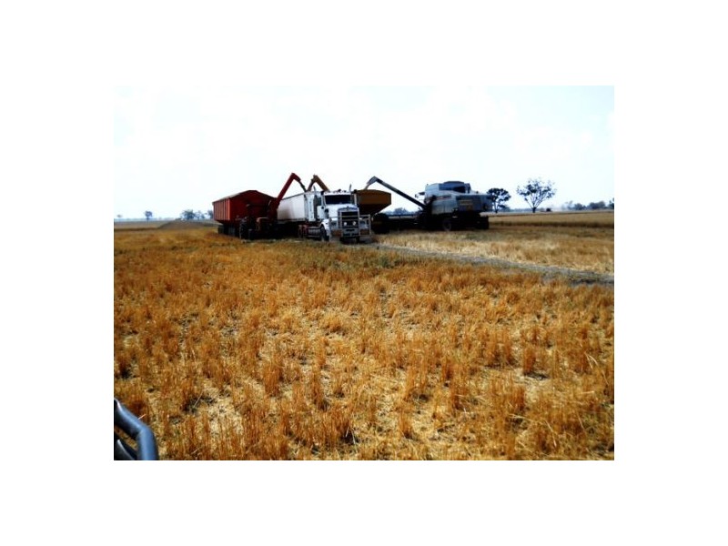 “Crinolyn”, Moree NSW 2400