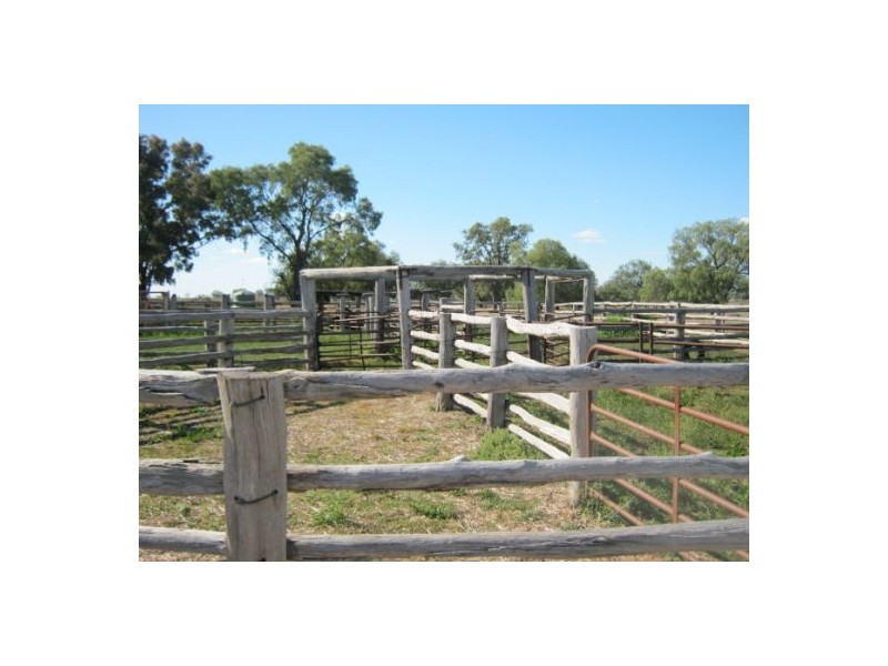 “Crinolyn”, Moree NSW 2400