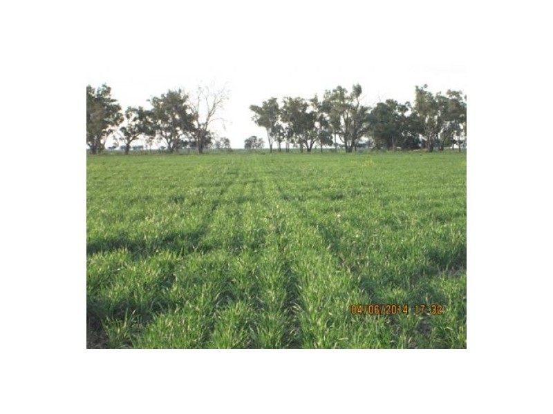 “Crinolyn”, Moree NSW 2400