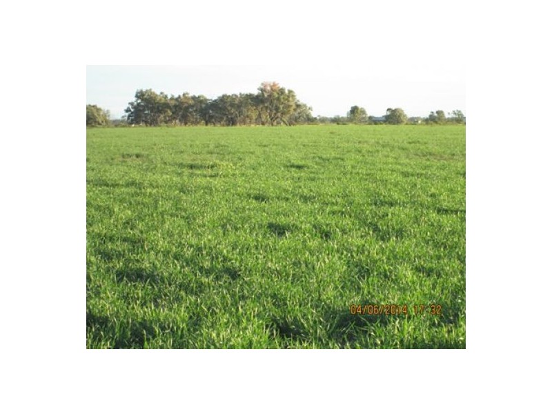 “Crinolyn”, Moree NSW 2400