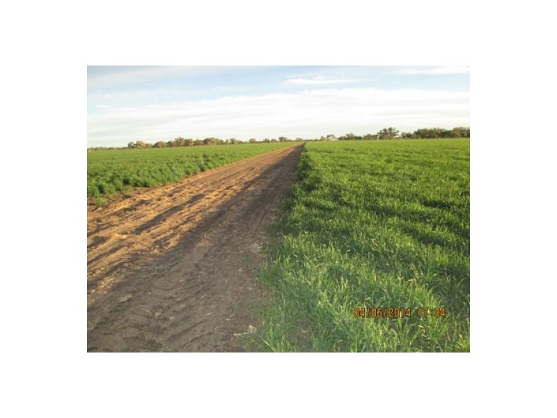 “Crinolyn”, Moree NSW 2400