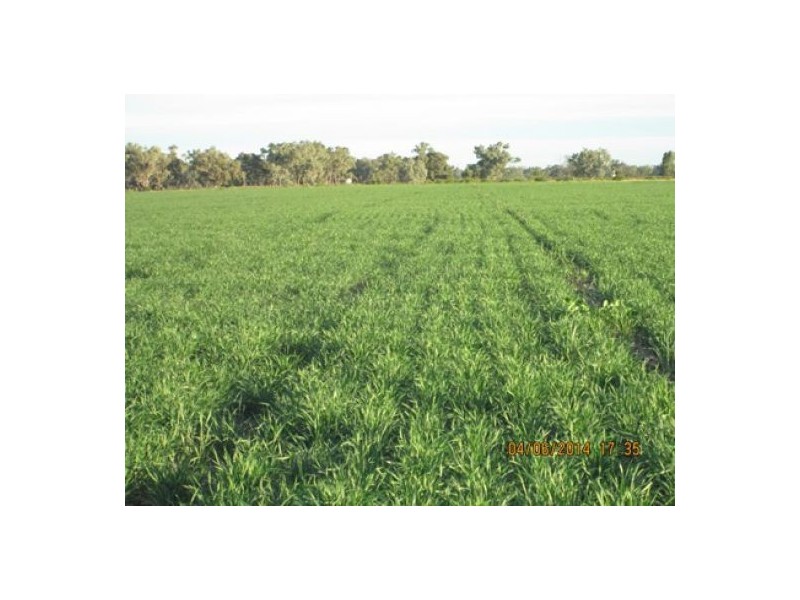 “Crinolyn”, Moree NSW 2400