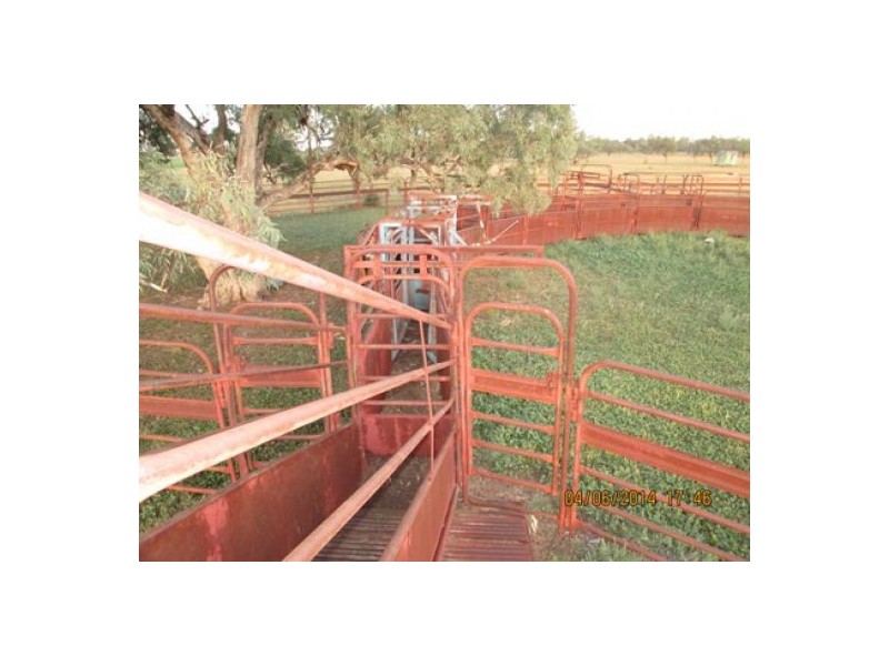 “Crinolyn”, Moree NSW 2400