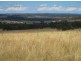 Gragin Peak Aggregation, Delungra NSW 2403
