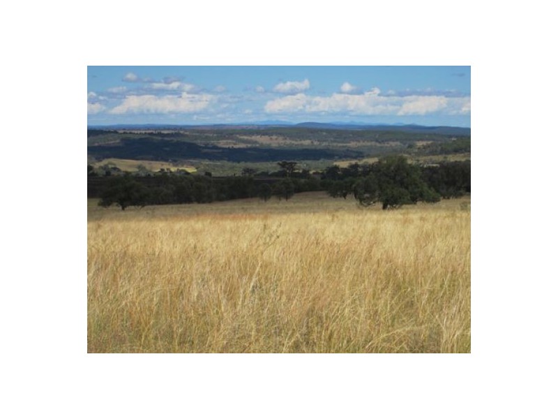 Gragin Peak Aggregation, Delungra NSW 2403
