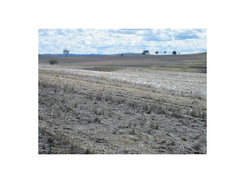 Gragin Peak Aggregation, Delungra NSW 2403