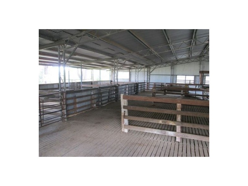 Gragin Peak Aggregation, Delungra NSW 2403