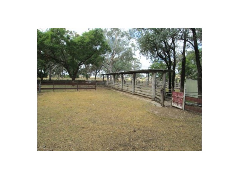 Gragin Peak Aggregation, Delungra NSW 2403