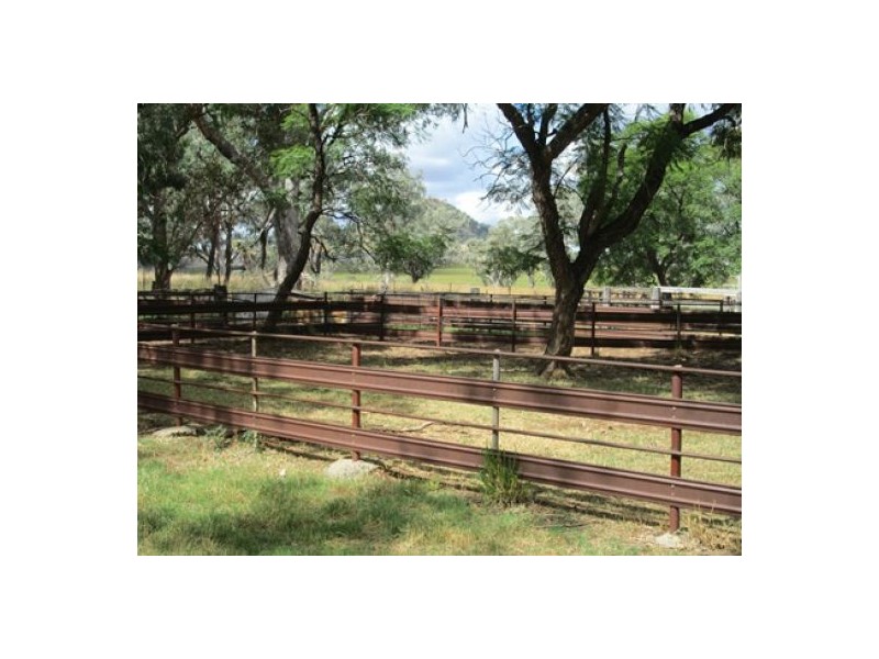 Gragin Peak Aggregation, Delungra NSW 2403