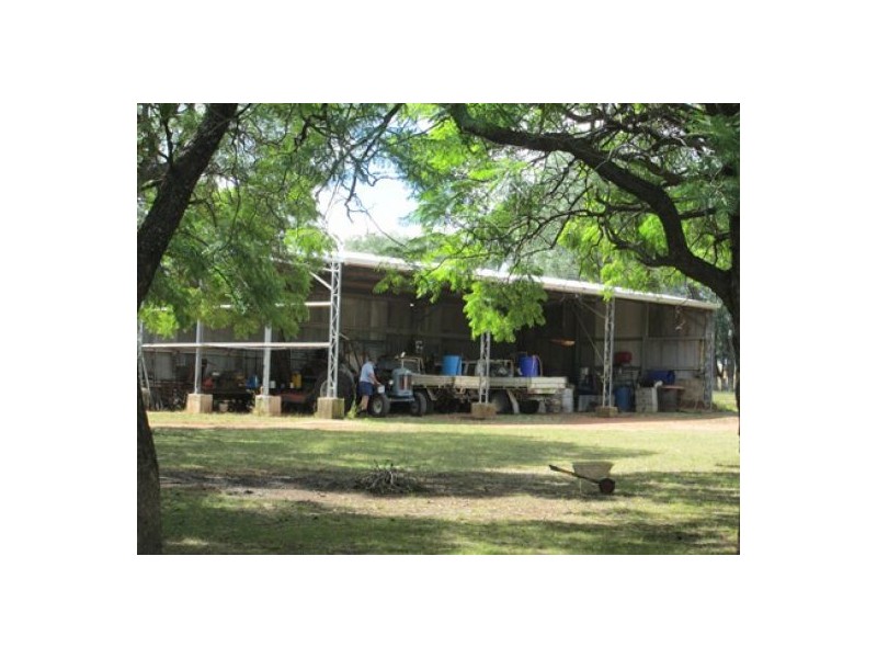 Gragin Peak Aggregation, Delungra NSW 2403