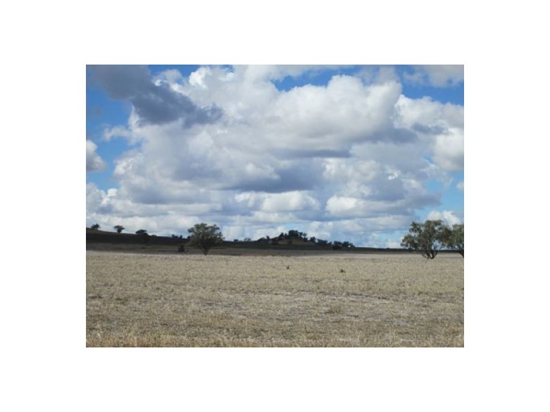 Gragin Peak Aggregation, Delungra NSW 2403