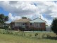 Gragin Peak Aggregation, Delungra NSW 2403