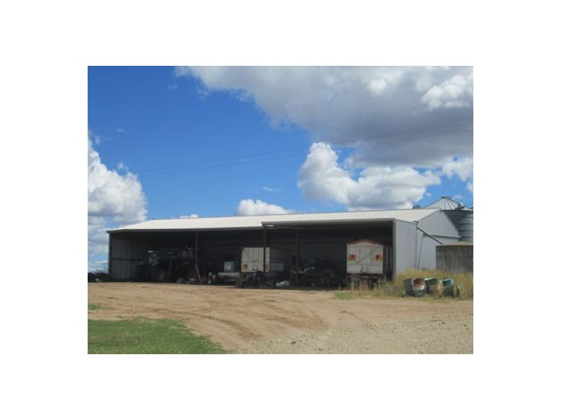 Gragin Peak Aggregation, Delungra NSW 2403