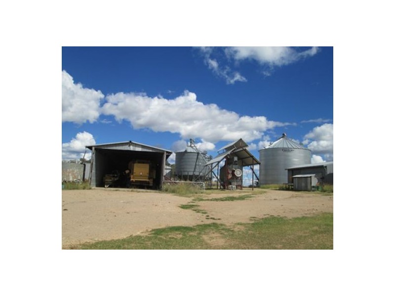 Gragin Peak Aggregation, Delungra NSW 2403