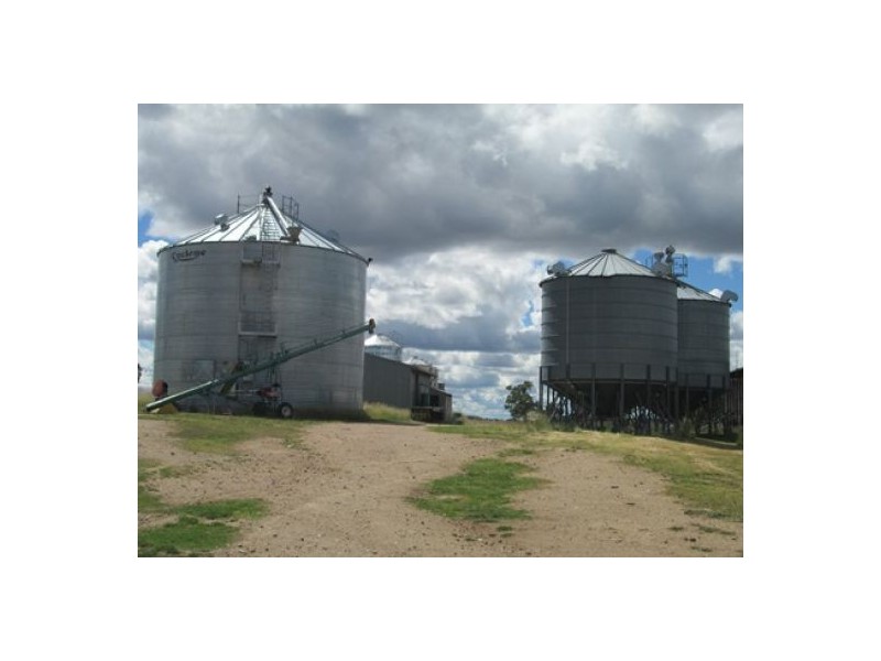 Gragin Peak Aggregation, Delungra NSW 2403