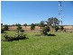 Malleebu, Moree NSW 2400