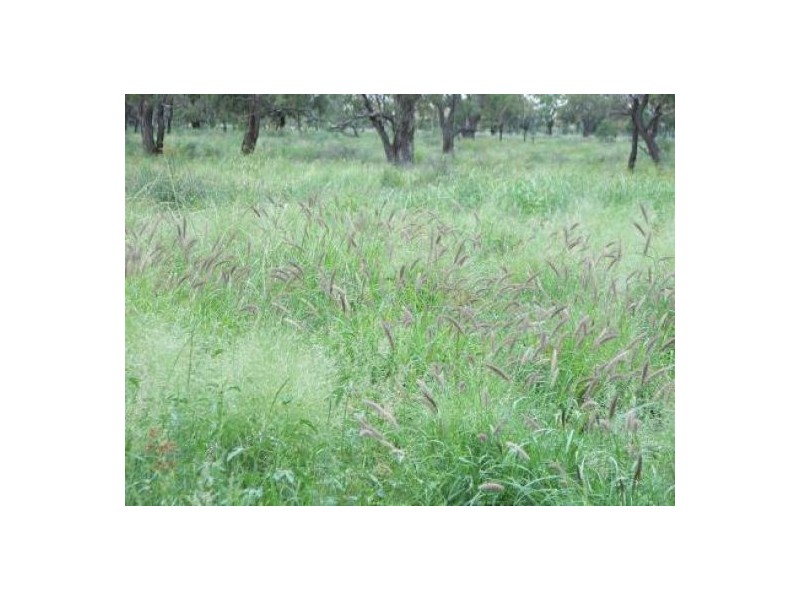 “Glenara”, Mungindi NSW 2406