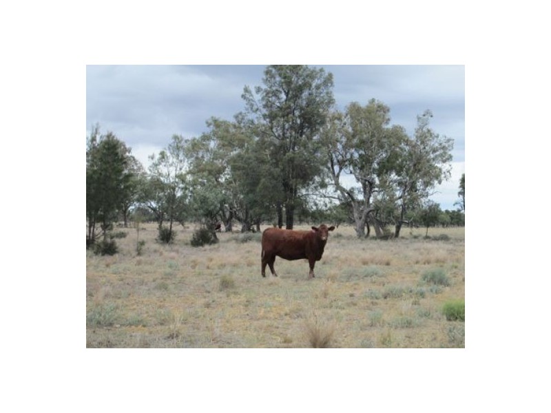 “Glenara”, Mungindi NSW 2406