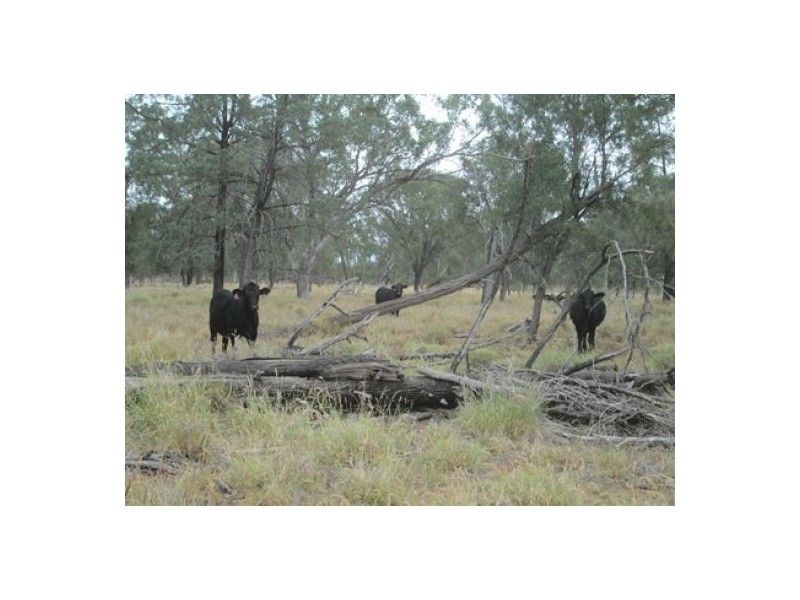 “Glenara”, Mungindi NSW 2406