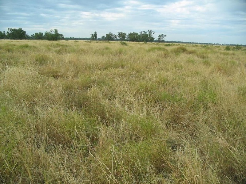 ‘CUBBAROO STATION’, Wee Waa NSW 2388