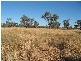 ‘CUBBAROO STATION’, Wee Waa NSW 2388