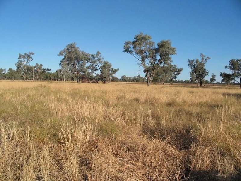 ‘CUBBAROO STATION’, Wee Waa NSW 2388