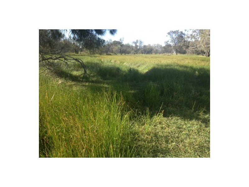 “Munwonga”, Moree NSW 2400