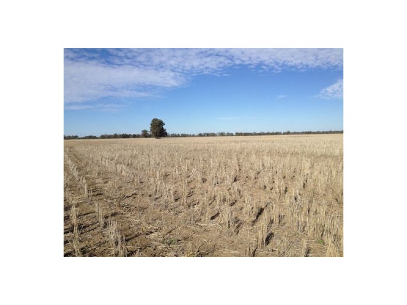 “Munwonga”, Moree NSW 2400