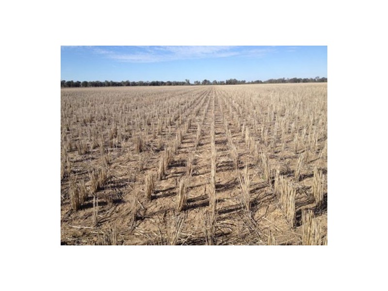 “Munwonga”, Moree NSW 2400