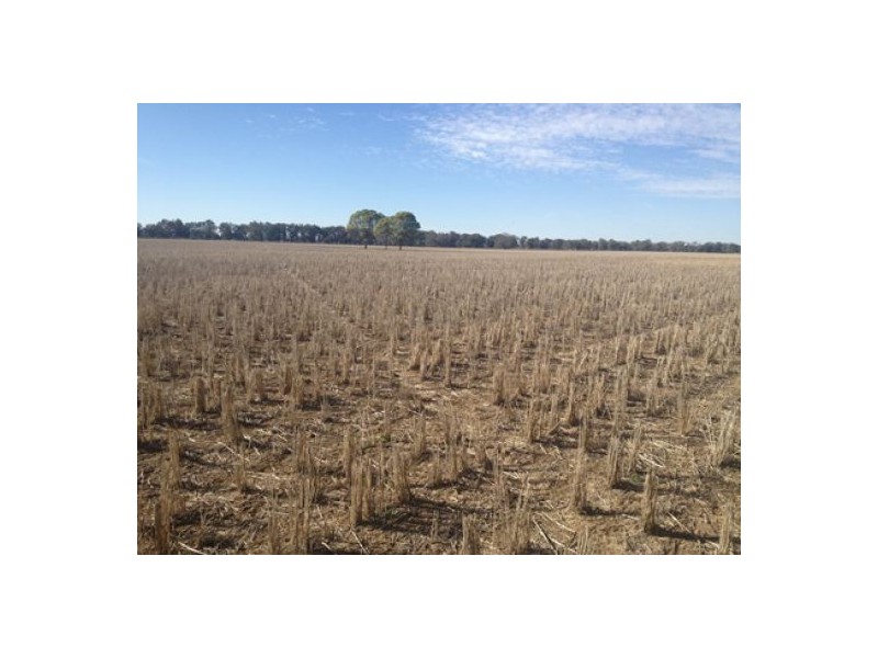 “Munwonga”, Moree NSW 2400