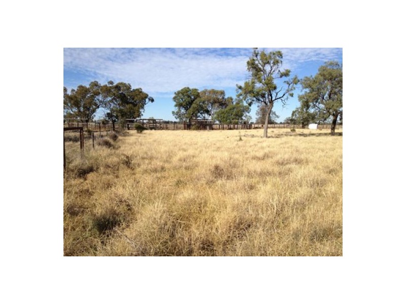 “Munwonga”, Moree NSW 2400