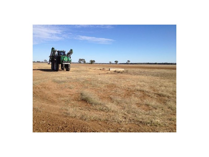 “Munwonga”, Moree NSW 2400