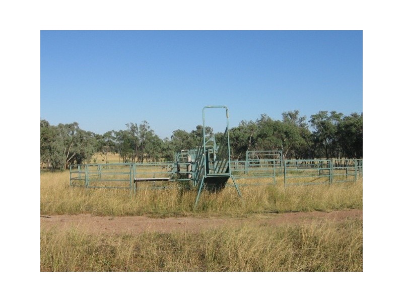 ” ROCKDALE”, Terry Hie Hie NSW 2400