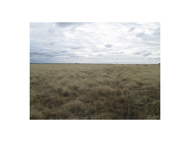 “Braden”, Ashley NSW 2400