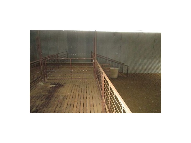 “Braden”, Ashley NSW 2400