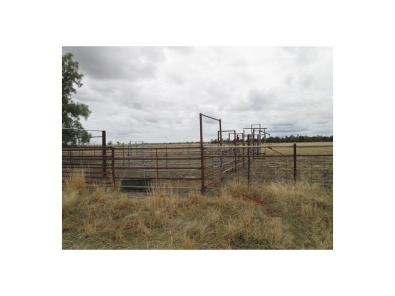 “Braden”, Ashley NSW 2400