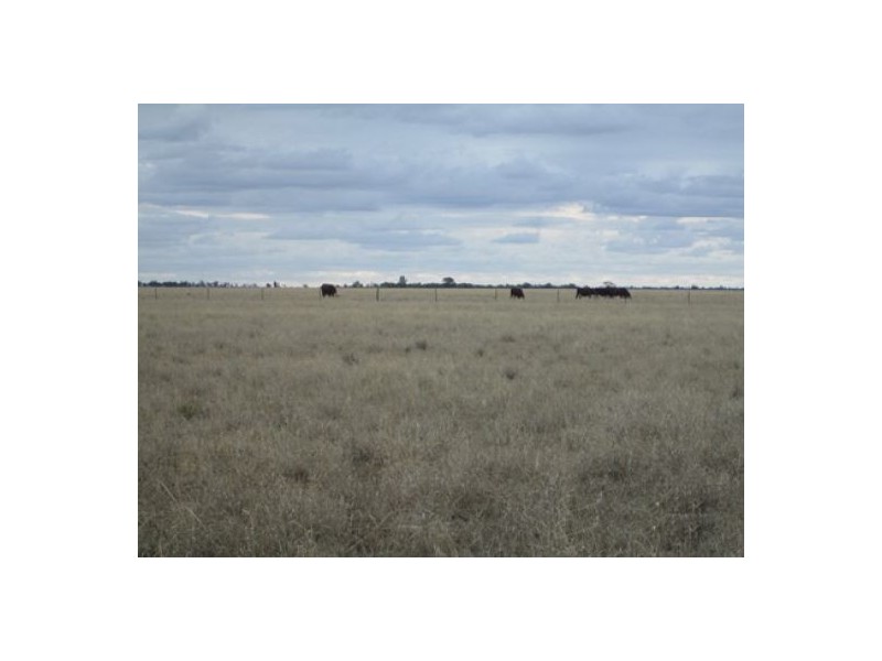 “Braden”, Ashley NSW 2400