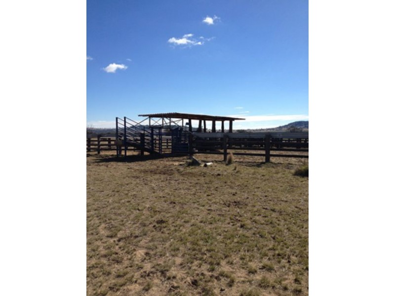 “Westholme”, Warialda NSW 2402