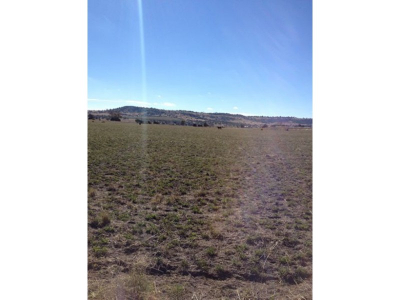 “Westholme”, Warialda NSW 2402