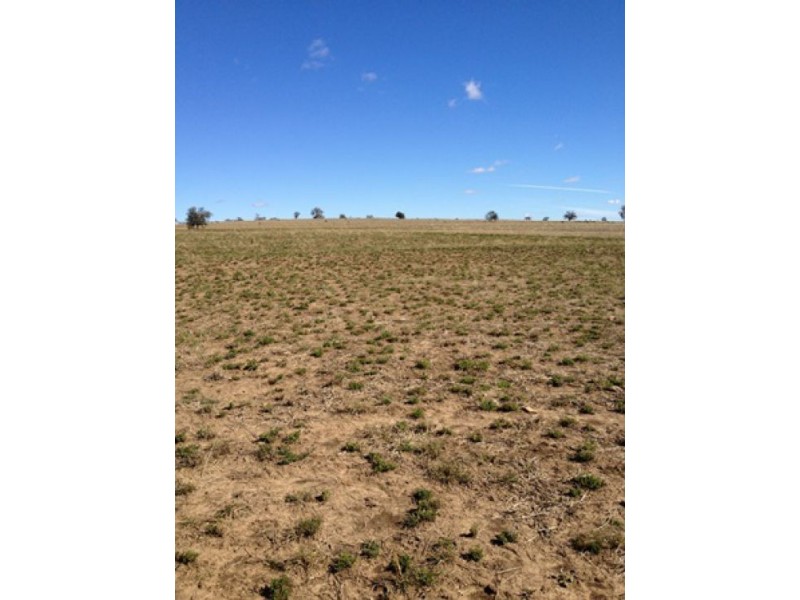 “Westholme”, Warialda NSW 2402